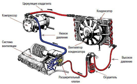 Интерпретация результатов
