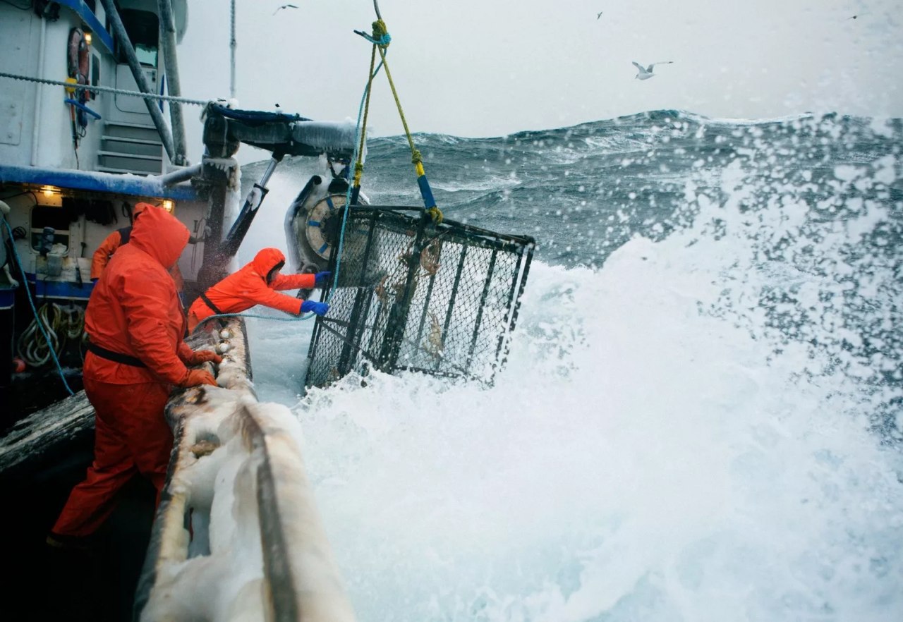 Работа на судне. Ловля крабов на Аляске. Краболовы Охотское море. Берингово море рыболовство. Рыбный промысел в Беринговом море.